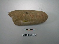 藏品(石杵)的圖片